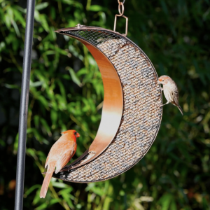 Over The Moon Copper Bird Feeder, with Mesh Panels